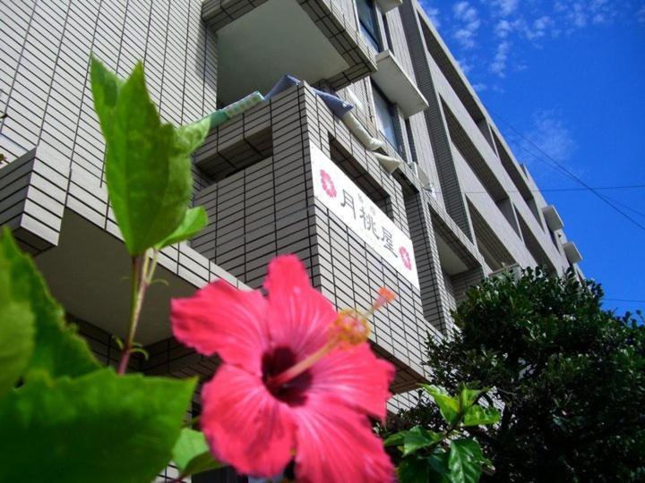 Shimayado Gettoya Ishigaki  Bagian luar foto